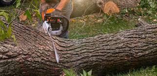 Best Lawn Drainage Solutions  in Mill Bay, AK